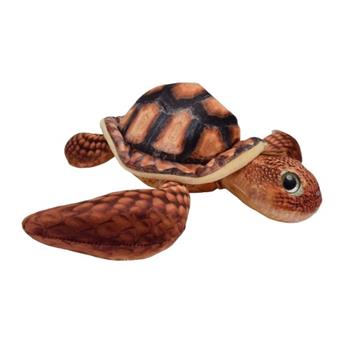 Żółw Morski 2 Średni-29604